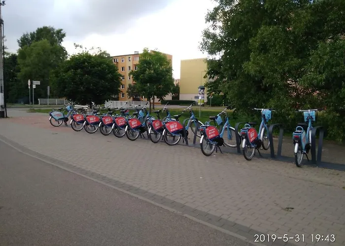 Eleven Проживання в сім'ї